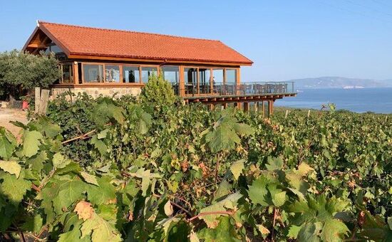 Trakya Bağ Bozumu Turu